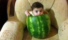 吃瓜爆料 网红大瓜博雅吃瓜视频最全观看,网红大瓜全解析